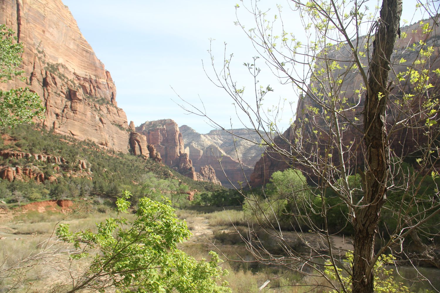 Lower & Upper Emerald & Kayenta Trails 